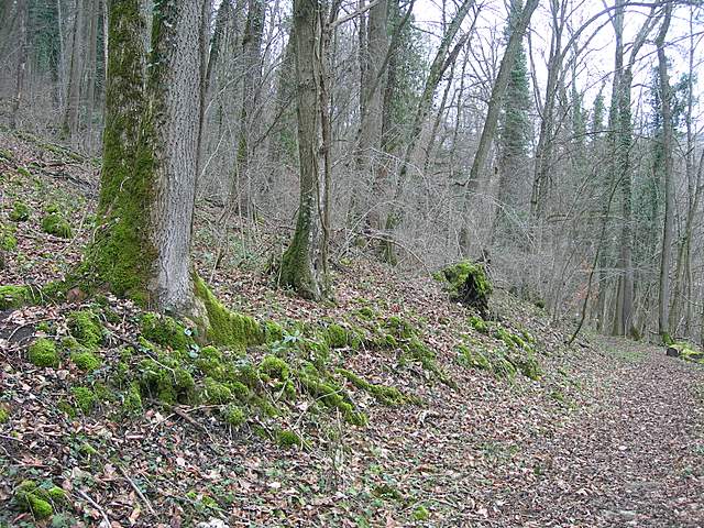 Nel  Regno  della  Jurana